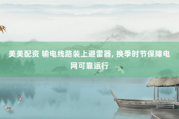 美美配资 输电线路装上避雷器, 换季时节保障电网可靠运行
