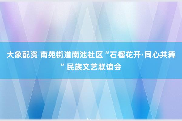 大象配资 南苑街道南池社区“石榴花开·同心共舞”民族文艺联谊会