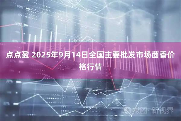 点点盈 2025年9月14日全国主要批发市场茴香价格行情