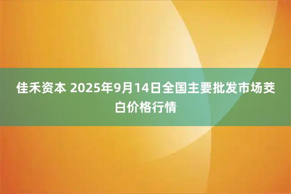 佳禾资本 2025年9月14日全国主要批发市场茭白价格行情