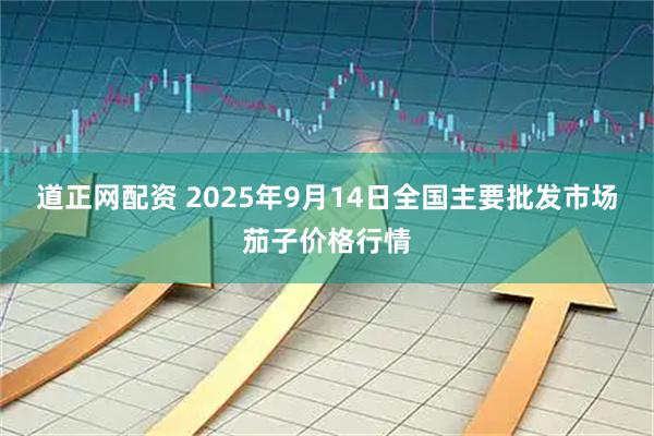 道正网配资 2025年9月14日全国主要批发市场茄子价格行情