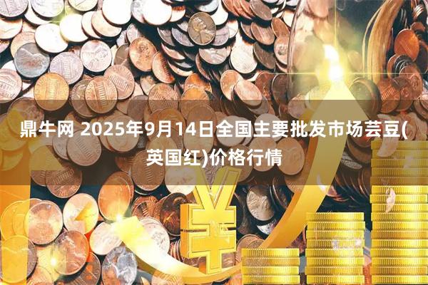 鼎牛网 2025年9月14日全国主要批发市场芸豆(英国红)价格行情