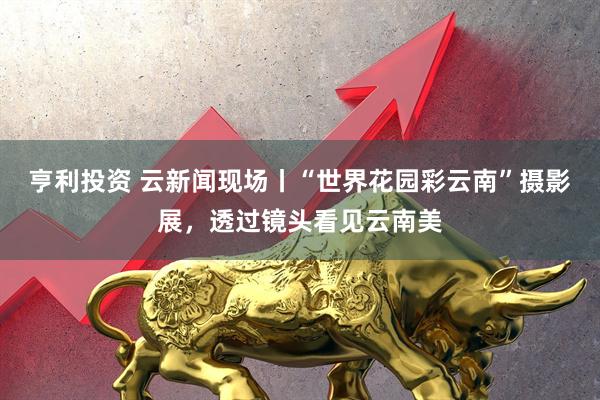 亨利投资 云新闻现场丨“世界花园彩云南”摄影展，透过镜头看见云南美