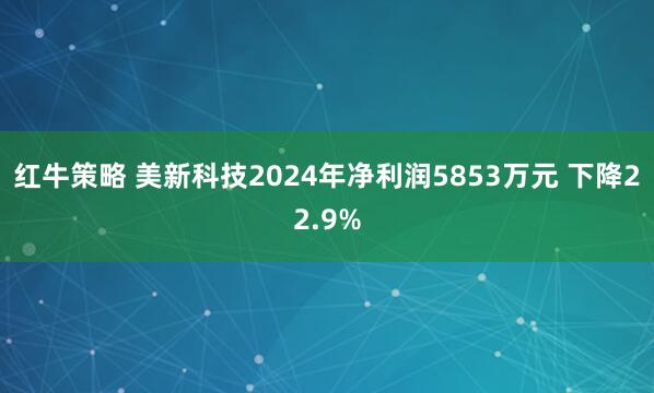 红牛策略 美新科技2024年净利润5853万元 下降22.9%