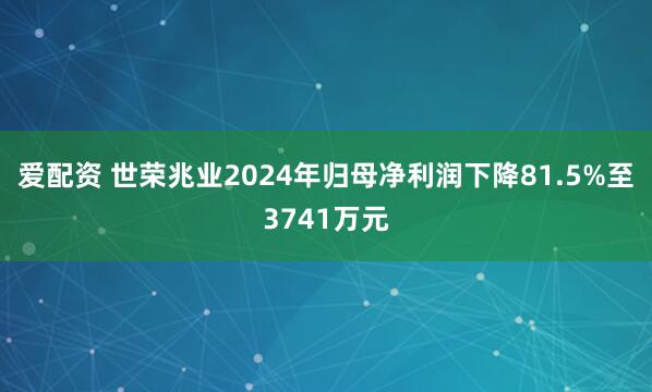 爱配资 世荣兆业2024年归母净利润下降81.5%至3741万元