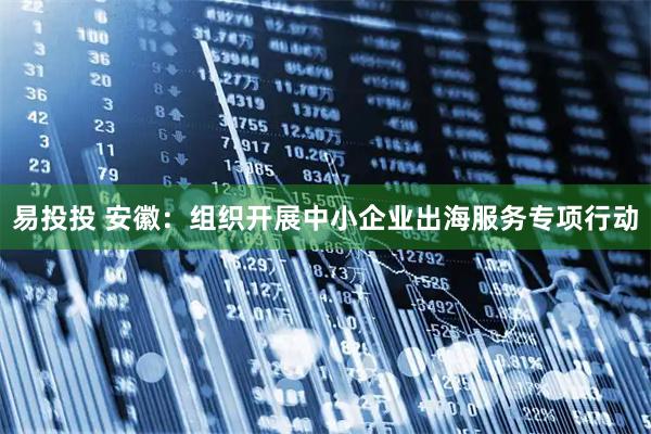 易投投 安徽：组织开展中小企业出海服务专项行动