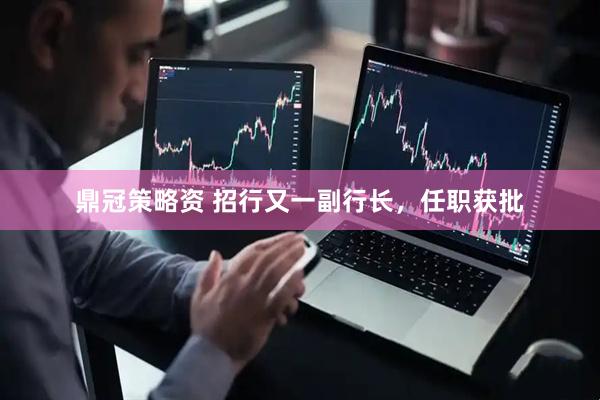 鼎冠策略资 招行又一副行长，任职获批