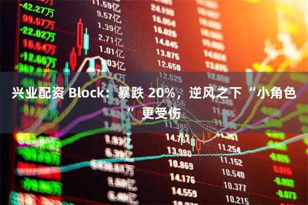 兴业配资 Block：暴跌 20%，逆风之下 “小角色” 更受伤