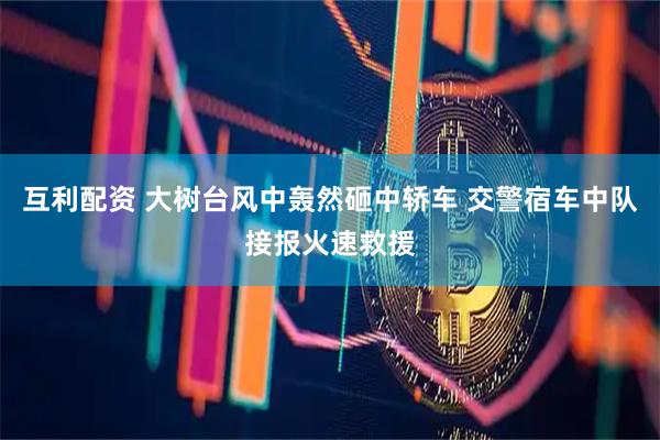 互利配资 大树台风中轰然砸中轿车 交警宿车中队接报火速救援