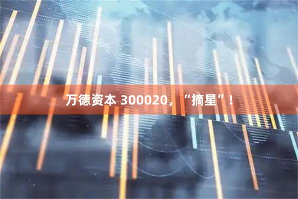 万德资本 300020,“摘星”!