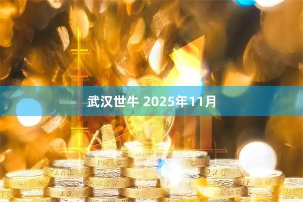武汉世牛 2025年11月